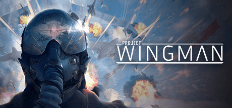 僚机计划 v2.1.1A(Project Wingman)免安装中文版
